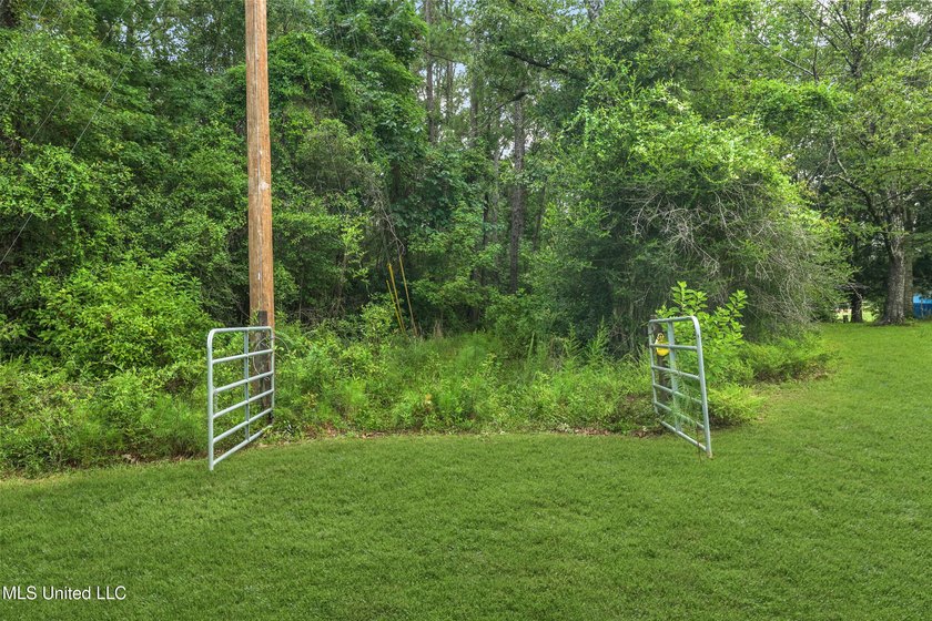 74.8 acres of beautiful property with oaks, magnolias, pines &amp; - photo 9