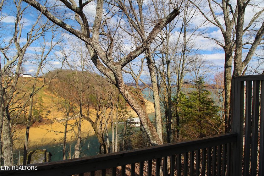 Lovely lake front home on Cherokee Lake on deep clove with year - photo 41
