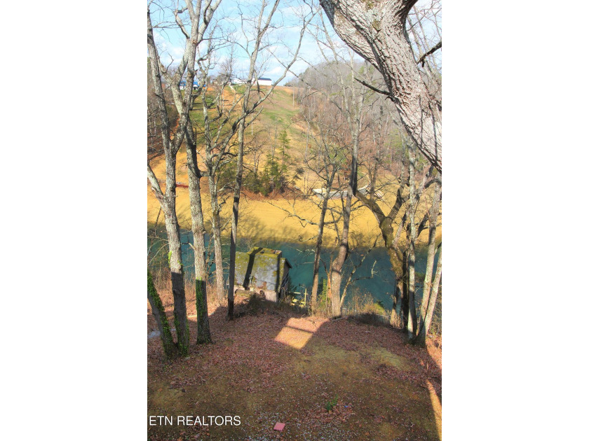 Lovely lake front home on Cherokee Lake on deep clove with year - photo 45