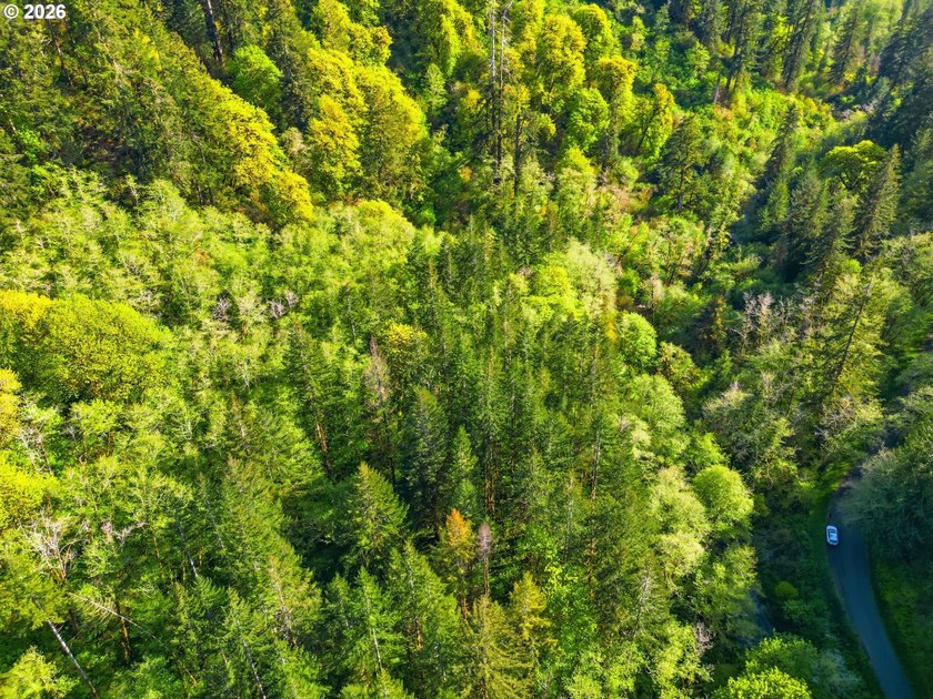 Own a piece of paradise on the upper North Fork River.Zoned F2 - photo 5