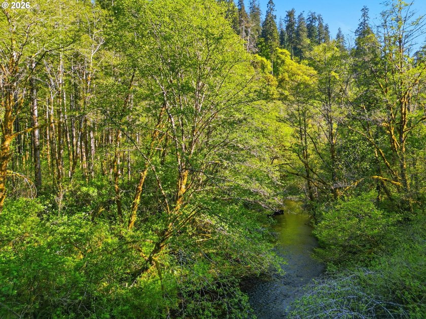 Own a piece of paradise on the upper North Fork River.Zoned F2 - photo 8