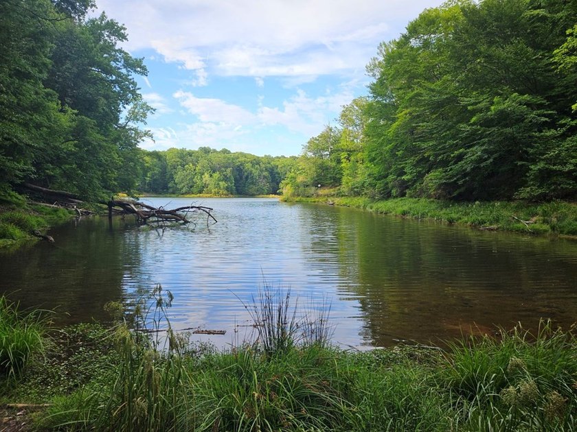 PRICED AT LESS THAN HALF OF THE COUNTY ASSESSMENT! Lakefront lot - photo 3