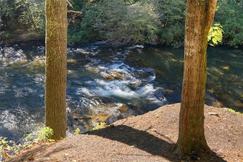 7.59 Acre Chattahoochee Riverfront Estate with Fully Renovated - photo 4