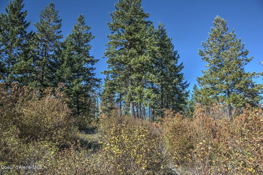 Elevated high above Lake Pend Oreille, this extraordinary - photo 27