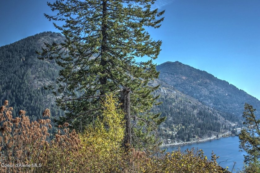 Elevated high above Lake Pend Oreille, this extraordinary - photo 28