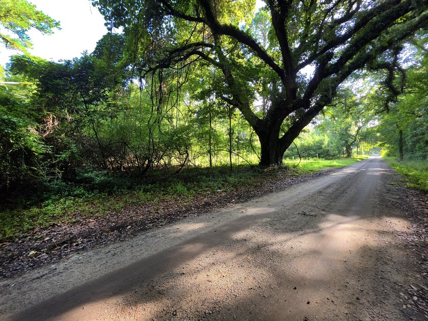 Village of McClellanville - Nice quarter acre lot on charming - photo 5