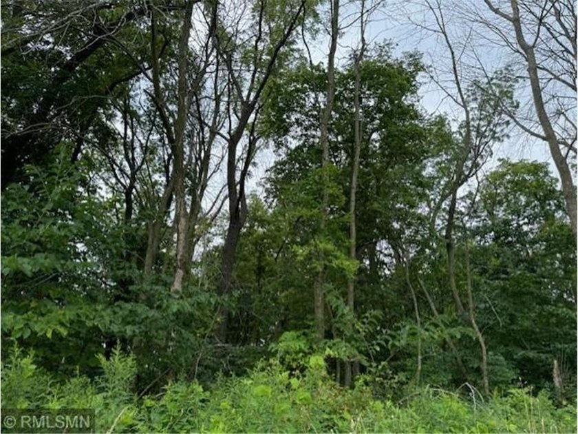 WOW! A rare 10 acre elevated wooded lot with 180 degree views of - photo 9