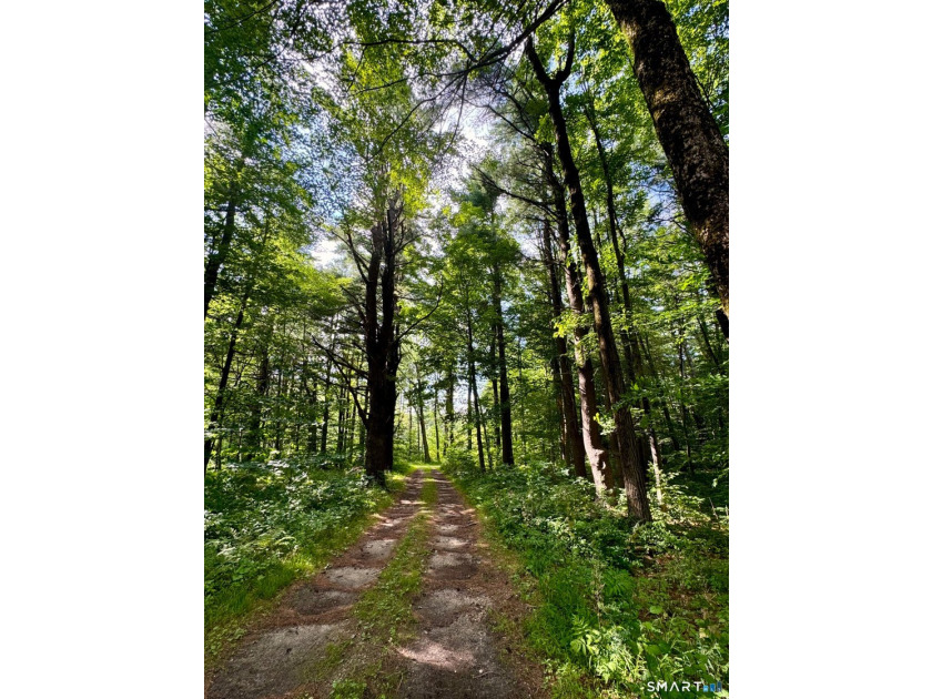WHERE THE WORLD FALLS AWAY 227 acres. 227 years. At East Hill - photo 32