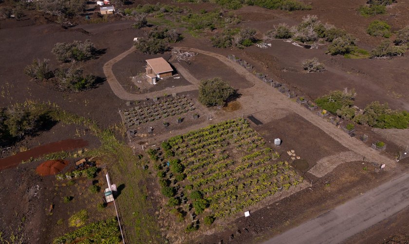 Owner Financing! Island Home with Established Dragon Fruit Farm - photo 22
