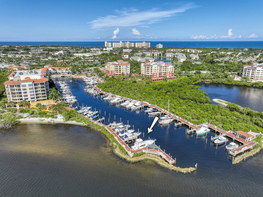 Slip 3 at the Jupiter Yacht Club Marina is a prime opportunity - photo 5