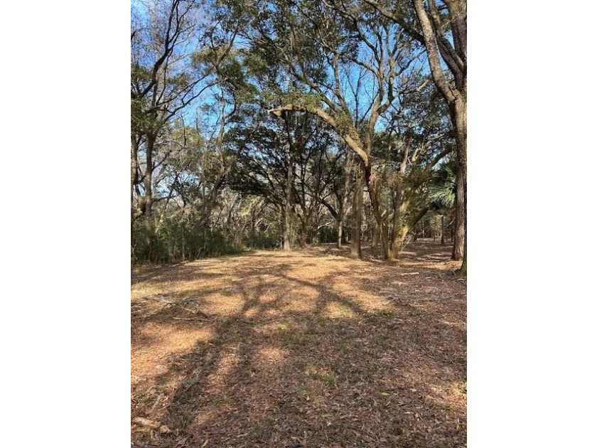 Outstanding Country lot lot with plenty of privacy and over 1 - photo 2