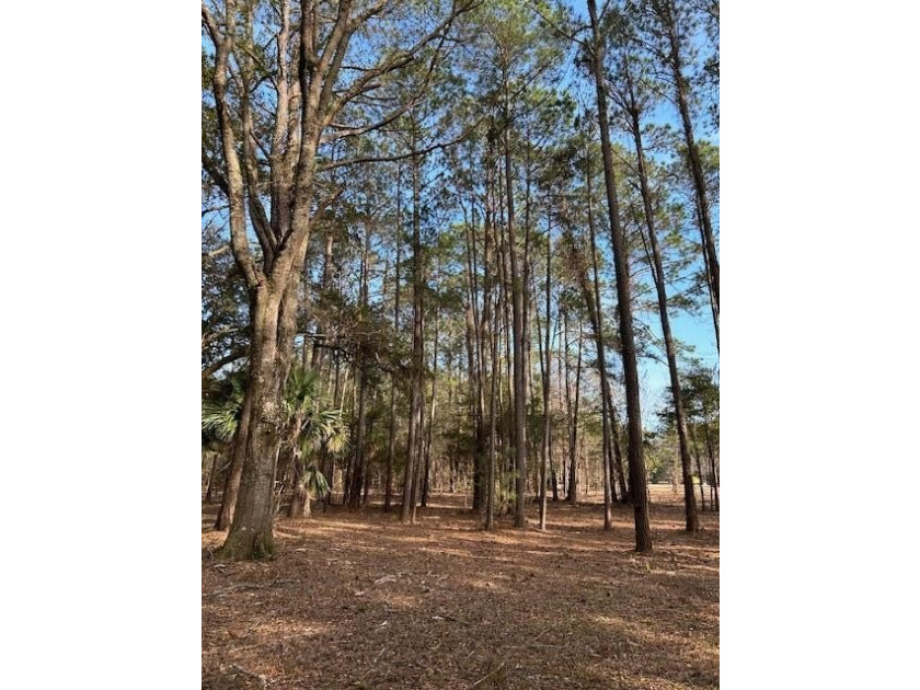 Outstanding Country lot lot with plenty of privacy and over 1 - photo 3