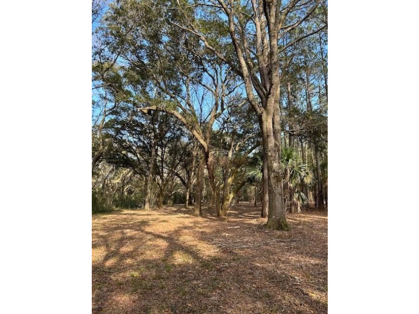 Outstanding Country lot lot with plenty of privacy and over 1 - photo 4