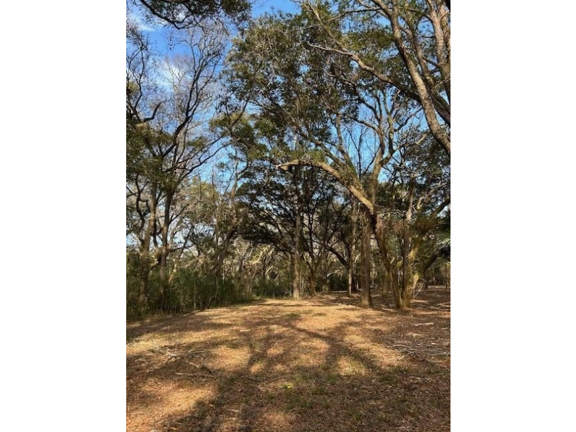 Outstanding Country lot lot with plenty of privacy and over 1 - photo 5