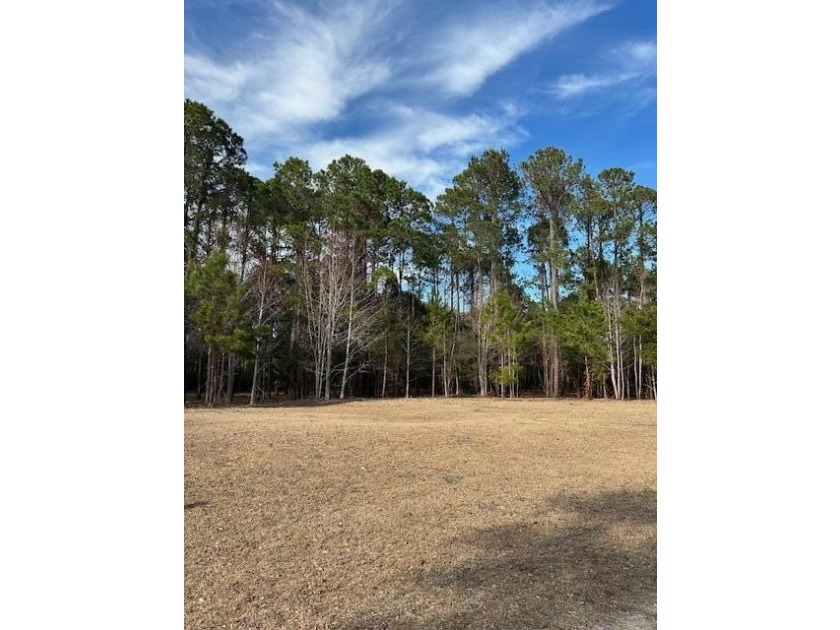 Outstanding Country lot lot with plenty of privacy and over 1 - photo 6