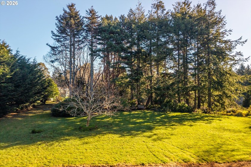 GORGEOUS HUGE .34 ACRE PARK LIKE BANDON BUILDING LOT AVAILABLE! - photo 5