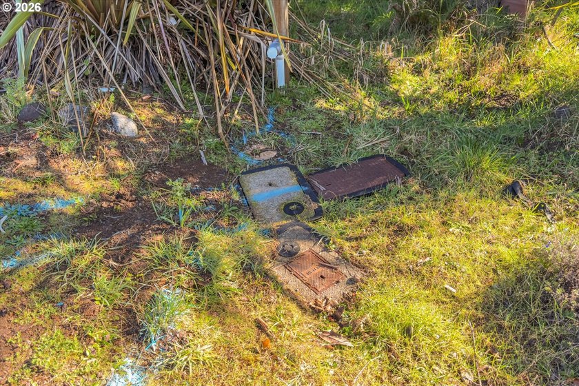 GORGEOUS HUGE .34 ACRE PARK LIKE BANDON BUILDING LOT AVAILABLE! - photo 10