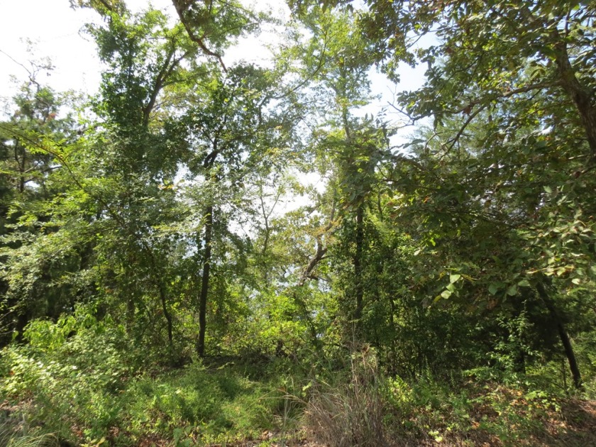 LOT FOR SALE W LIFETIME MEMBERSHIP TO GARDEN VALLEY GOLF CLUB SOL - photo 2