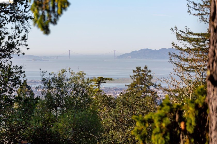 Enjoy dramatic sunsets from this special Berkeley Hills home - photo 12