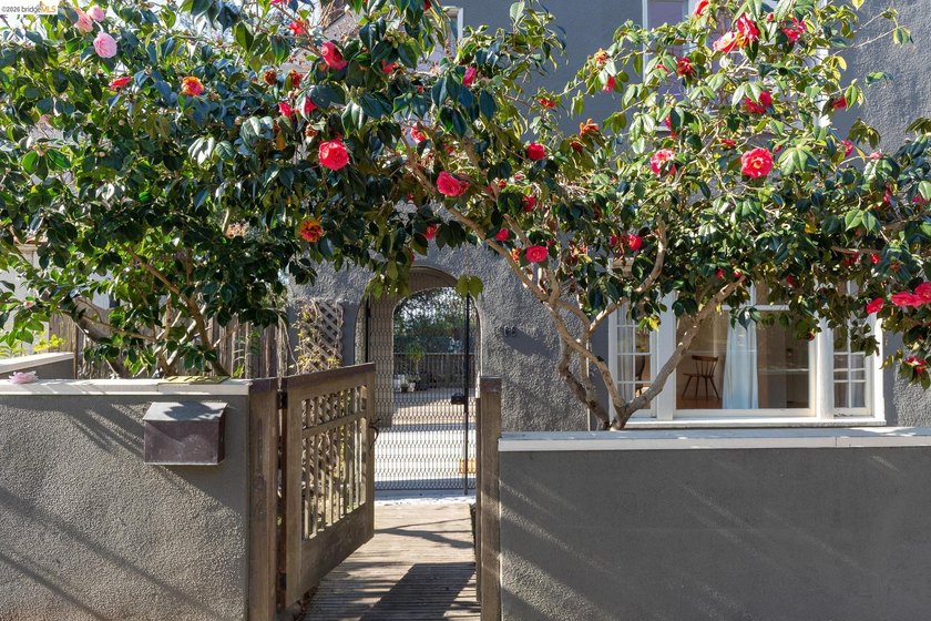 Enjoy dramatic sunsets from this special Berkeley Hills home - photo 22