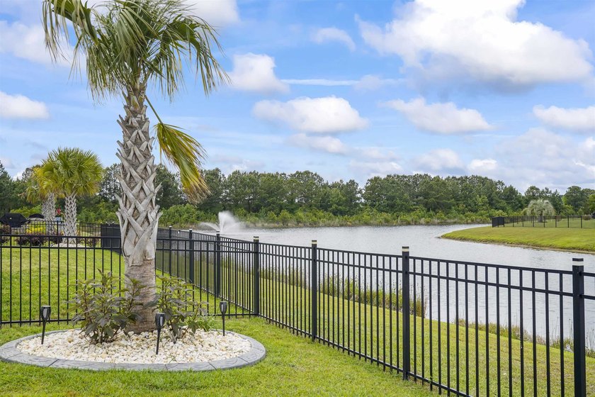 Welcome to 3045 Sistine St. in the desirable Bella Vita - photo 38