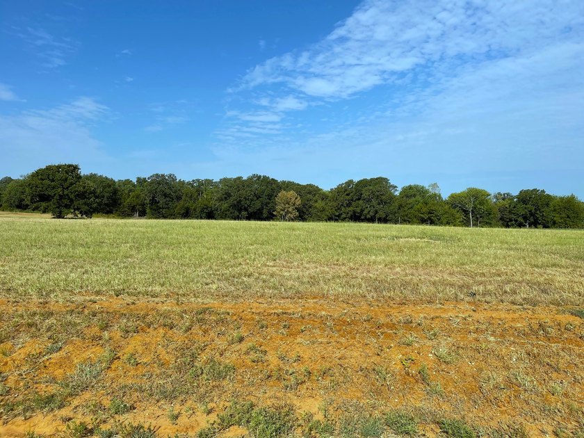 Minimum building size on this lot is only 650 sq feet! Beautiful - photo 2