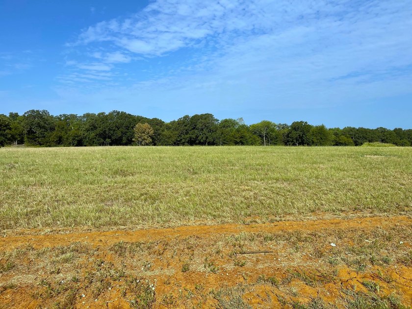 Minimum building size on this lot is only 650 sq feet! Beautiful - photo 3