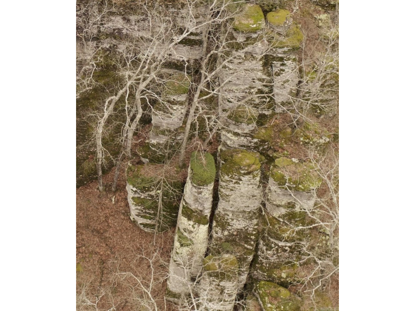 Welcome to your secluded haven in nature! Nestled on 18.10 very - photo 6