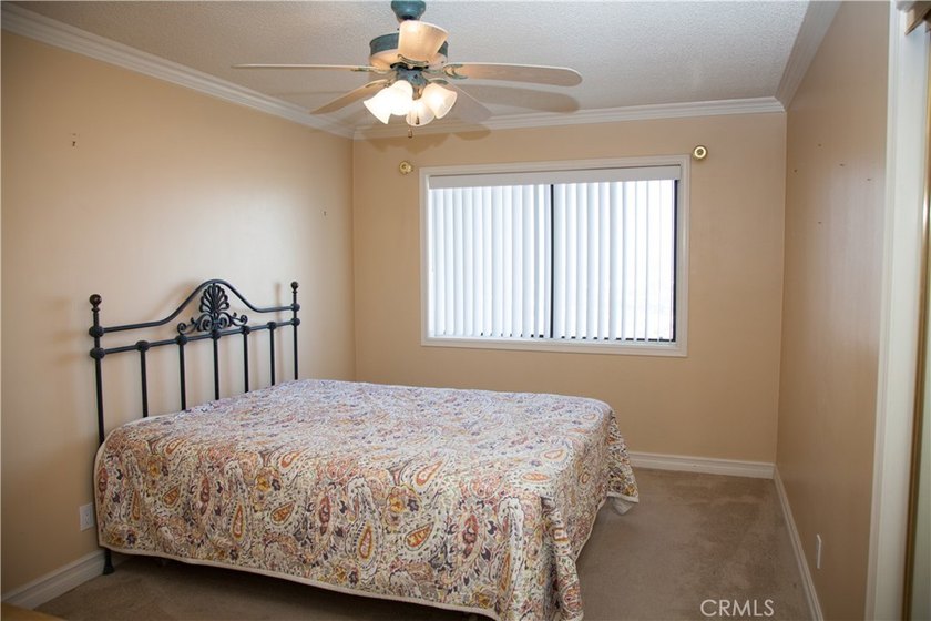 4109 Paseo De Las Tortugas - photo 30