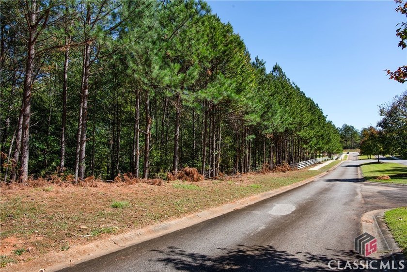 Introducing a premier 3.78-acre riverfront lot in the exclusive - photo 22