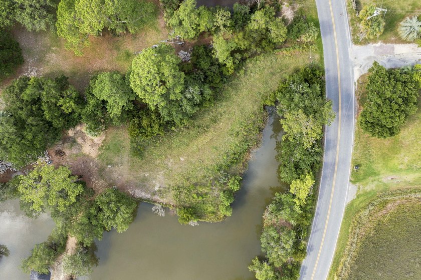 A truly rare offering in Charleston's sought-after Sol Legare - photo 4