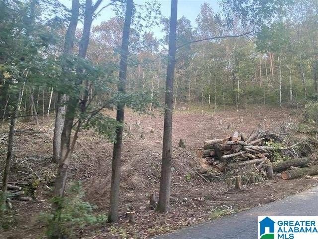 This acreage is situated between and connects to both Lakeside - photo 2