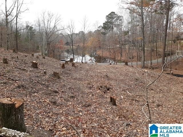 This acreage is situated between and connects to both Lakeside - photo 3