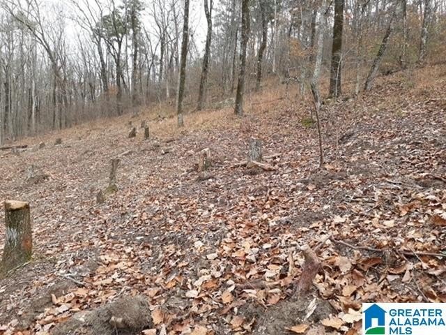 This acreage is situated between and connects to both Lakeside - photo 5