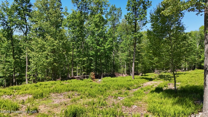 Tucked away for ultimate tranquility, this blend of lush - photo 15