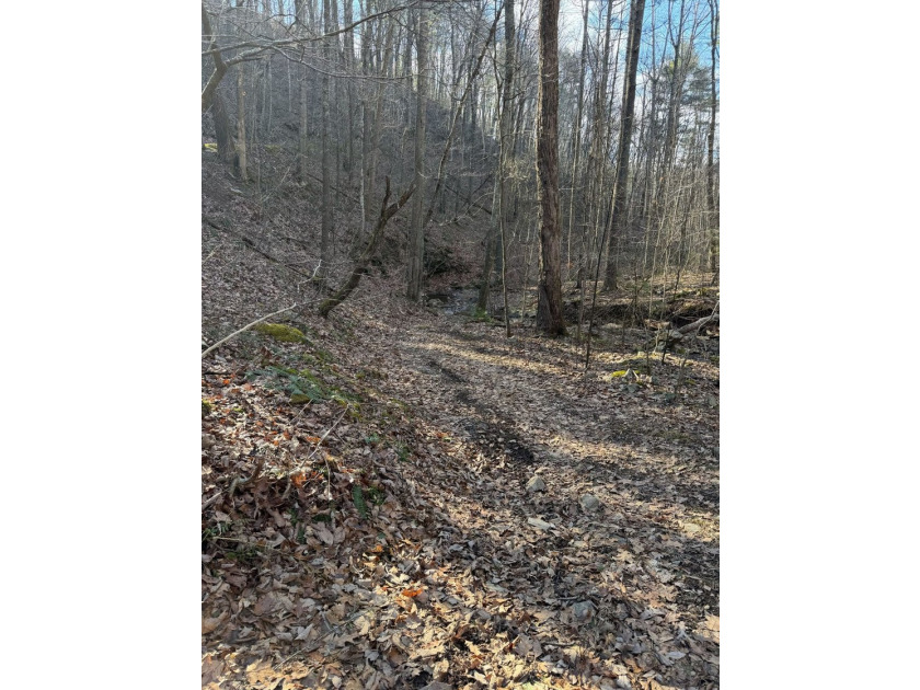 6388 Centennial Rd, Blacksburg, Va - photo 35