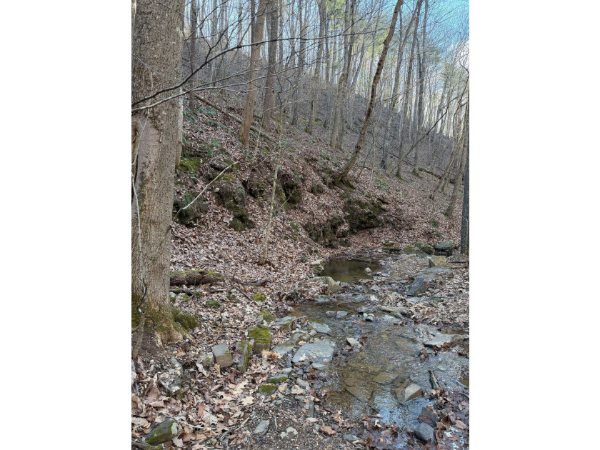 6388 Centennial Rd, Blacksburg, Va - photo 36