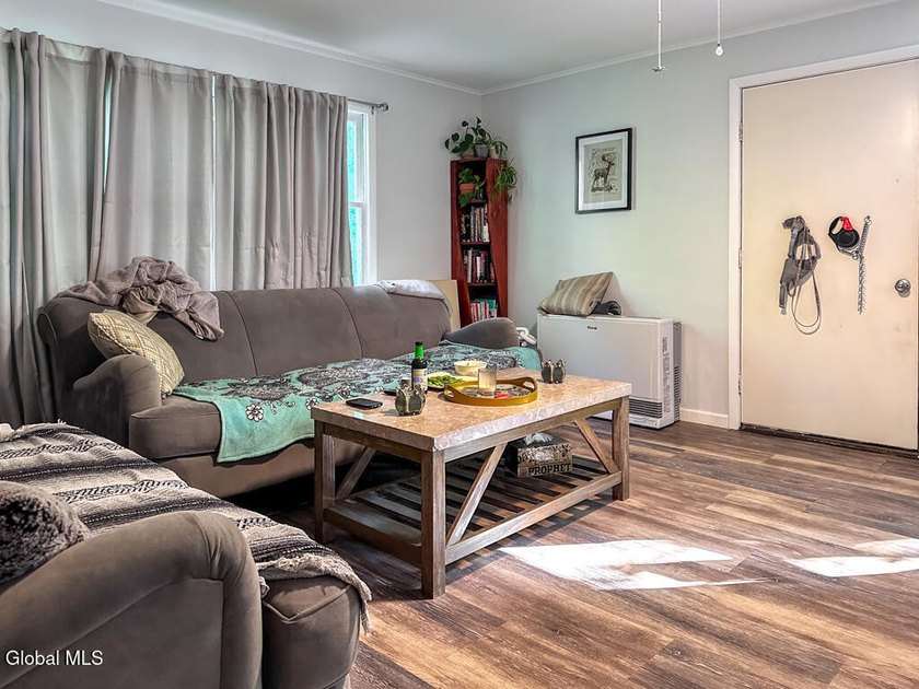 Exceptional investment opportunity in the heart of Lake George! - photo 7