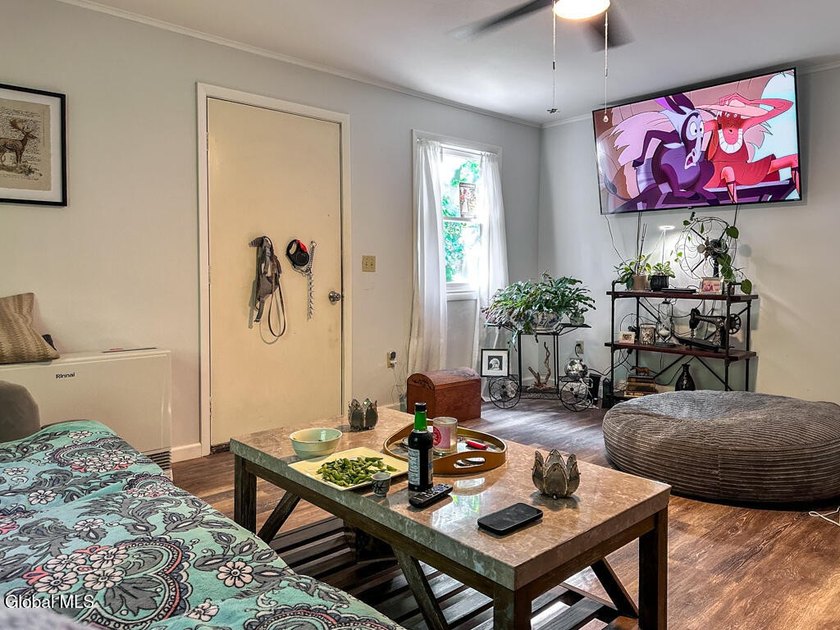 Exceptional investment opportunity in the heart of Lake George! - photo 8