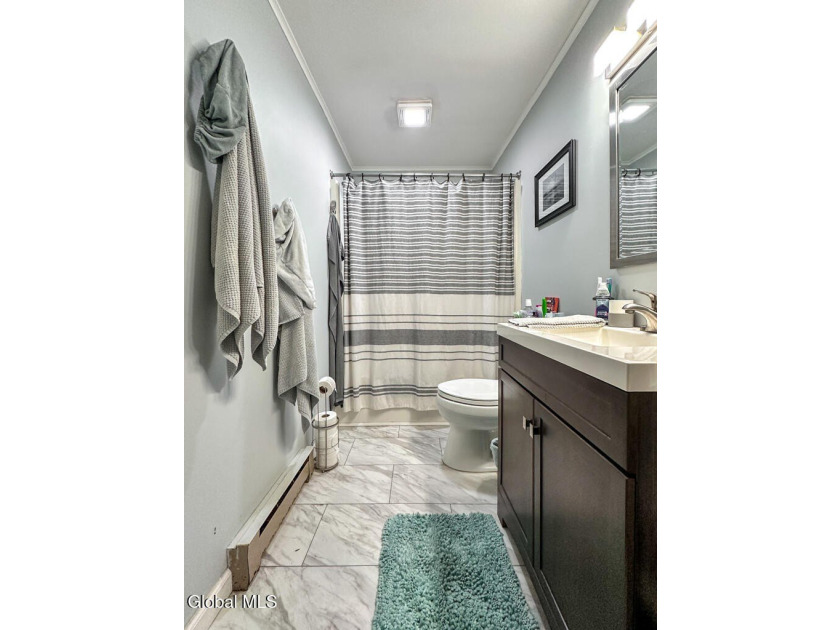 Exceptional investment opportunity in the heart of Lake George! - photo 10