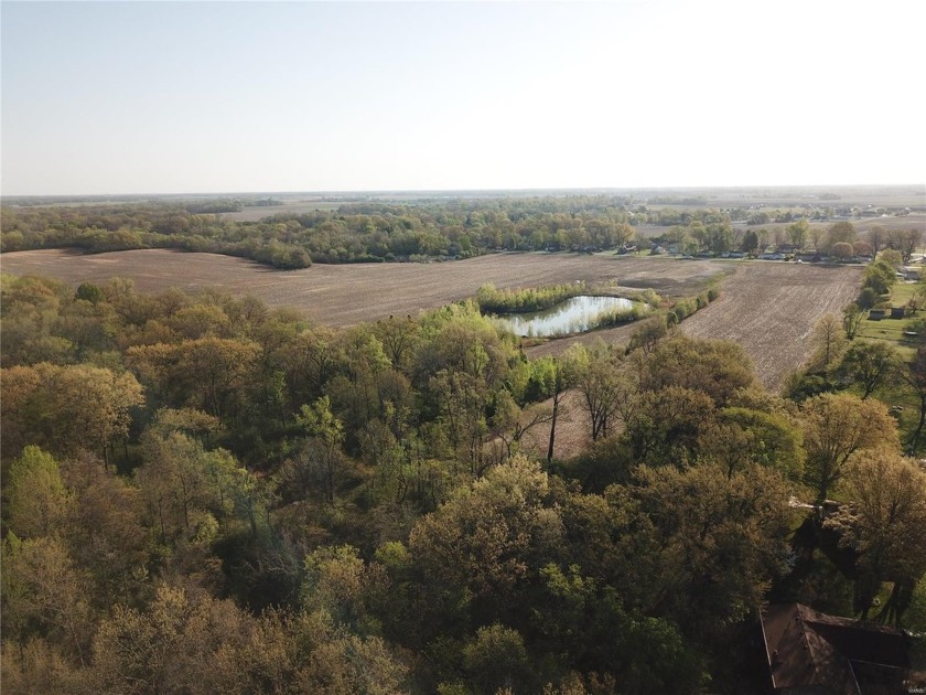 Two parcels are included in this listing - photo 4