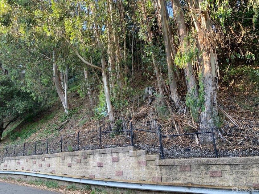 Build your dream home in the Berkeley hills! Uphill lot. No - photo 2