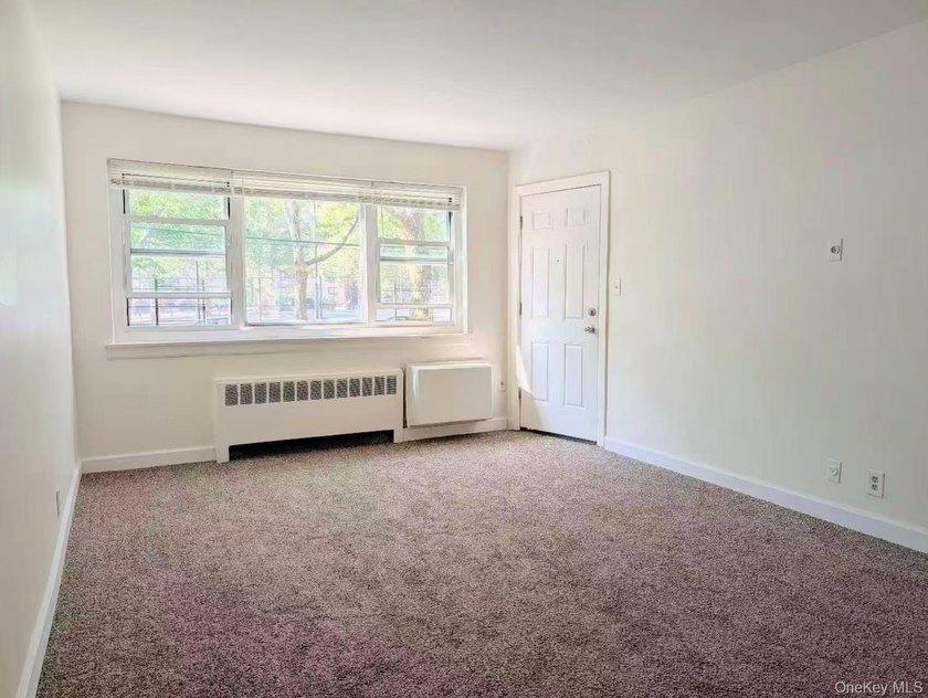 This south facing first floor one bedroom co-op apartment is - photo 7