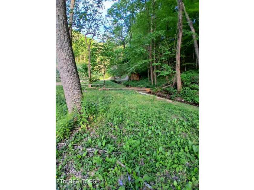 Escape to your own private mountain retreat with this - photo 39