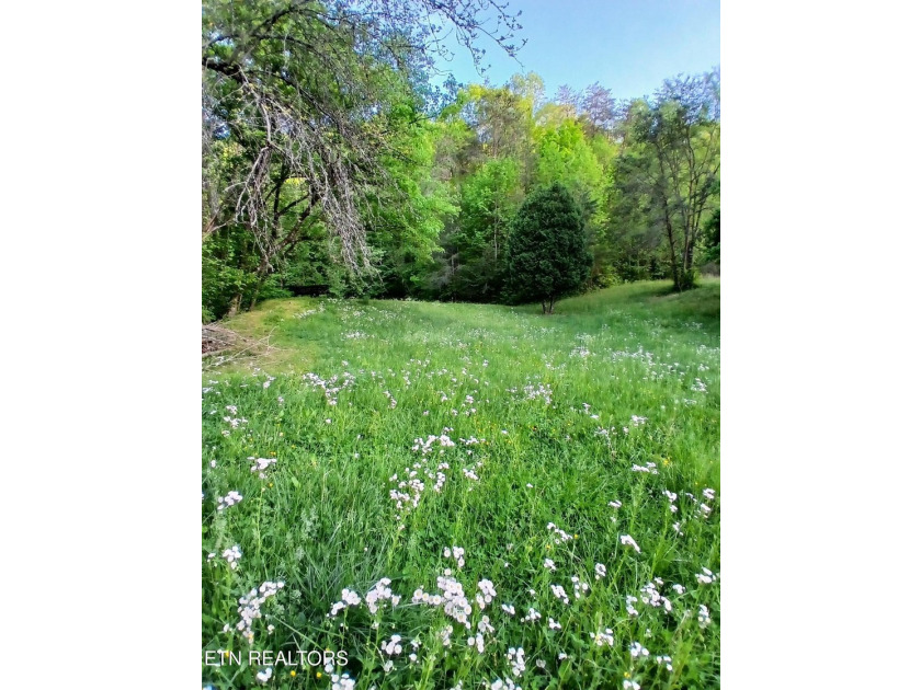 Escape to your own private mountain retreat with this - photo 50