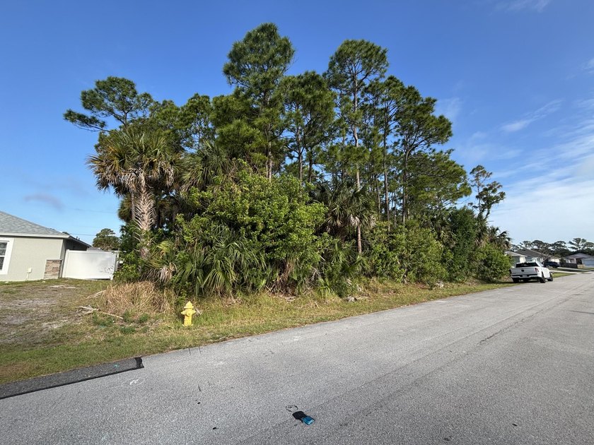 Great opportunity to own a residential vacant lot in NE Palm - photo 2
