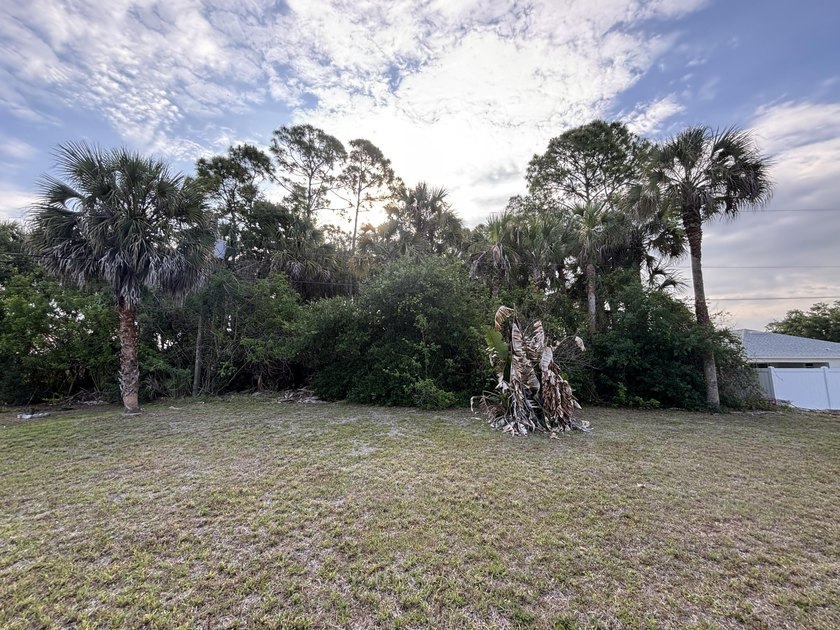 Great opportunity to own a residential vacant lot in NE Palm - photo 4