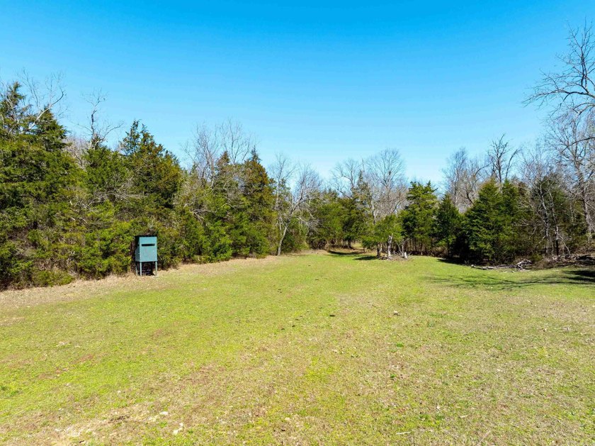 934 +/- Acre Working Cattle Ranch in Baxter County, Arkansas - photo 4