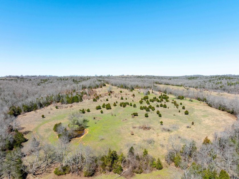934 +/- Acre Working Cattle Ranch in Baxter County, Arkansas - photo 5