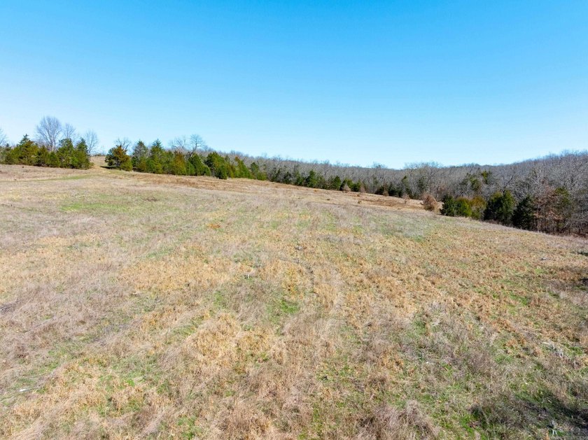 934 +/- Acre Working Cattle Ranch in Baxter County, Arkansas - photo 6